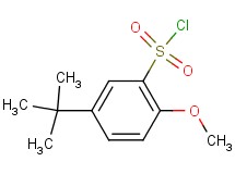 5-tert-butyl-2-methoxybenzenesulfonyl chloride