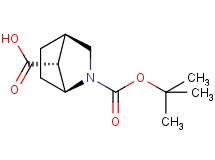 rac-(1S,4R,7R)-2-(tert-butoxycarbonyl)-2-azabicyclo[2.2.1]heptane-7-carboxylic acid