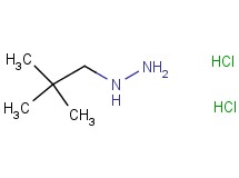 (2,2-dimethylpropyl)hydrazine dihydrochloride