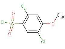 2,5-dichloro-4-methoxybenzenesulfonyl chloride