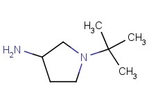 1-tert-butyl-3-pyrrolidinamine
