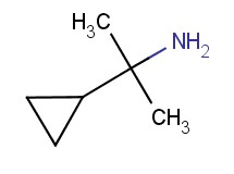 (1-cyclopropyl-1-methylethyl)amine