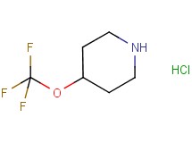 4-(trifluoromethoxy)piperidine hydrochloride