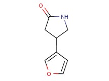 4-(3-furyl)-2-pyrrolidinone