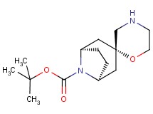 tert-butyl rac-(1R,3r,5S)-8H-spiro[8-azabicyclo[3.2.1]octane-3,2'-[1,4]oxazinane]-8-carboxylate