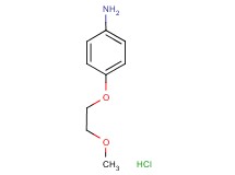 [4-(2-methoxyethoxy)phenyl]amine hydrochloride