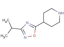 4-(3-isopropyl-1,2,4-oxadiazol-5-yl)piperidine