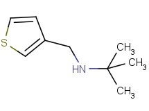 2-methyl-N-(3-thienylmethyl)-2-propanamine