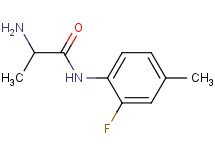 N~1~-(2-fluoro-4-methylphenyl)alaninamide