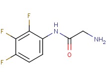 N~1~-(2,3,4-trifluorophenyl)glycinamide