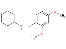 N-(2,4-dimethoxybenzyl)cyclohexanamine