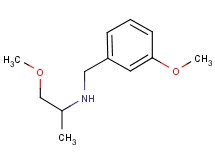 (3-methoxybenzyl)(2-methoxy-1-methylethyl)amine
