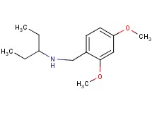 (2,4-dimethoxybenzyl)(1-ethylpropyl)amine
