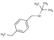 N-(4-ethylbenzyl)-2-methyl-2-propanamine