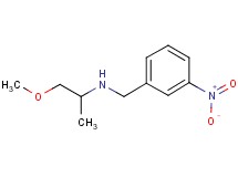(2-methoxy-1-methylethyl)(3-nitrobenzyl)amine