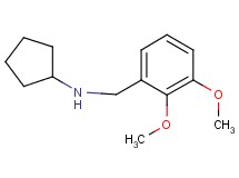 N-(2,3-dimethoxybenzyl)cyclopentanamine
