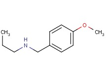 (4-methoxybenzyl)propylamine