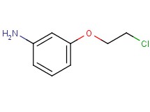 3-(2-chloroethoxy)aniline