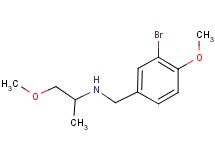 (3-bromo-4-methoxybenzyl)(2-methoxy-1-methylethyl)amine