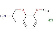 (8-methoxy-3,4-dihydro-2H-chromen-3-yl)amine hydrochloride