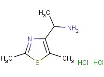 [1-(2,5-dimethyl-1,3-thiazol-4-yl)ethyl]amine dihydrochloride