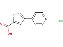 3-(4-pyridinyl)-1H-pyrazole-5-carboxylic acid hydrochloride