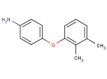 [4-(2,3-dimethylphenoxy)phenyl]amine hydrochloride