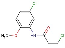 3-chloro-N-(5-chloro-2-methoxyphenyl)propanamide 3-chloro-N-(5-chloro-2-methoxyphenyl)propanamide