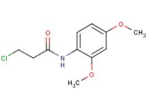 3-chloro-N-(2,4-dimethoxyphenyl)propanamide 3-chloro-N-(2,4-dimethoxyphenyl)propanamide