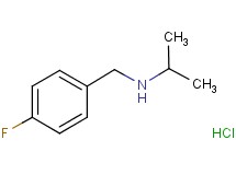 N-(4-fluorobenzyl)-2-propanamine hydrochloride