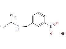 N-(3-nitrobenzyl)-2-propanamine hydrobromide