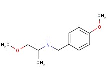 (4-methoxybenzyl)(2-methoxy-1-methylethyl)amine