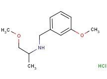 (3-methoxybenzyl)(2-methoxy-1-methylethyl)amine hydrochloride