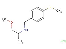 (2-methoxy-1-methylethyl)[4-(methylthio)benzyl]amine hydrochloride