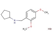 N-(2,4-dimethoxybenzyl)cyclopentanamine hydrobromide