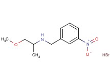 (2-methoxy-1-methylethyl)(3-nitrobenzyl)amine hydrobromide