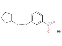 N-(3-nitrobenzyl)cyclopentanamine hydrobromide