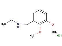 N-(2,3-dimethoxybenzyl)ethanamine hydrochloride