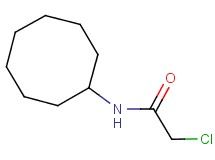 2-chloro-N-cyclooctylacetamide