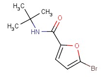 5-bromo-N-(tert-butyl)-2-furamide
