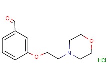 3-[2-(4-morpholinyl)ethoxy]benzaldehyde hydrochloride