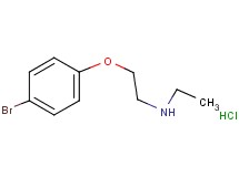 [2-(4-bromophenoxy)ethyl]ethylamine hydrochloride