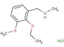 (2-ethoxy-3-methoxybenzyl)methylamine hydrochloride