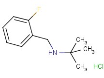 N-(2-fluorobenzyl)-2-methyl-2-propanamine hydrochloride