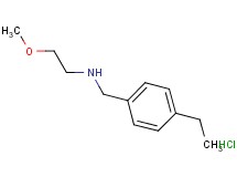 N-(4-ethylbenzyl)-2-methoxyethanamine hydrochloride N-(4-ethylbenzyl)-2-methoxyethanamine hydrochloride