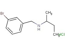 N-(3-bromobenzyl)-2-butanamine hydrochloride