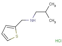 2-methyl-N-(2-thienylmethyl)-1-propanamine hydrochloride