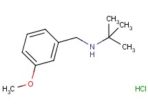N-(3-methoxybenzyl)-2-methyl-2-propanamine hydrochloride