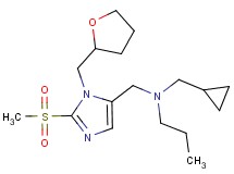 (cyclopropylmethyl){[2-(methylsulfonyl)-1-(tetrahydro-2-furanylmethyl)-1H-imidazol-5-yl]methyl}propylamine
