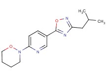 2-[5-(3-isobutyl-1,2,4-oxadiazol-5-yl)-2-pyridinyl]-1,2-oxazinane